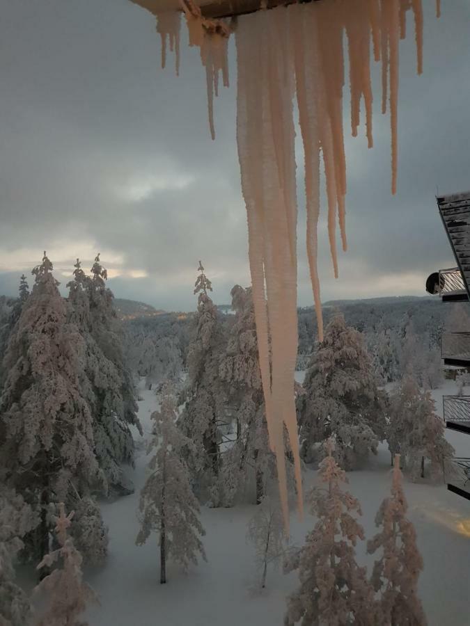 Apartmani Cucić Divčibare Exterior foto